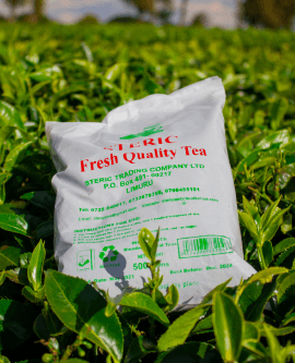 Steric Fresh Quality Tea 250gms